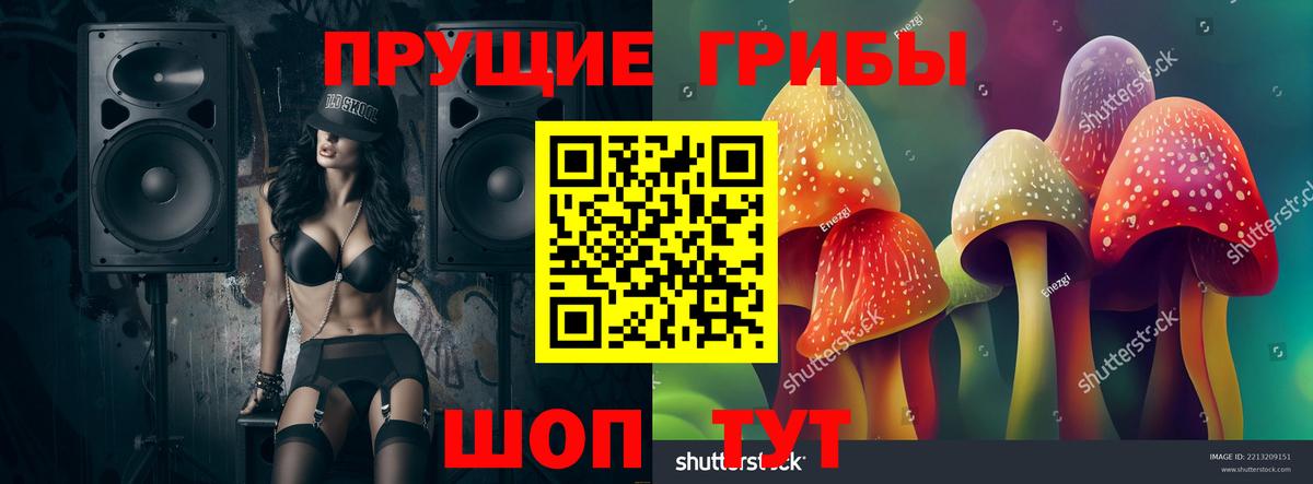 Псилоцибиновые грибы мухоморы Кохма